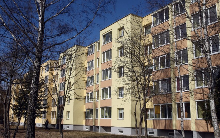 186382.jpg