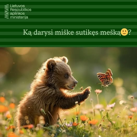 Lokys